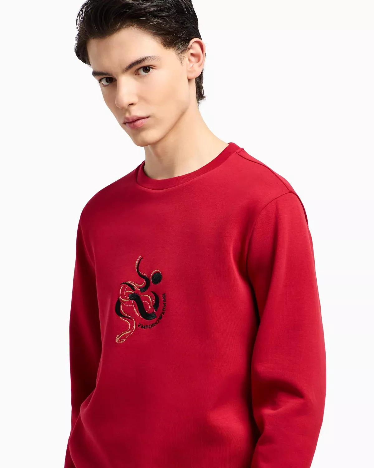 【関税&送料込】Emporio Armani Embroidered Sweatshirt 16944778_33797375_600.jpg
