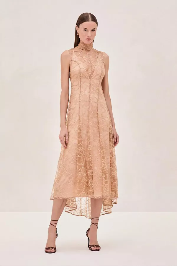 chinese dress ladies ALEXIS Women's England Midi Dress, Sage, XL at Amazon Women's Clothing store