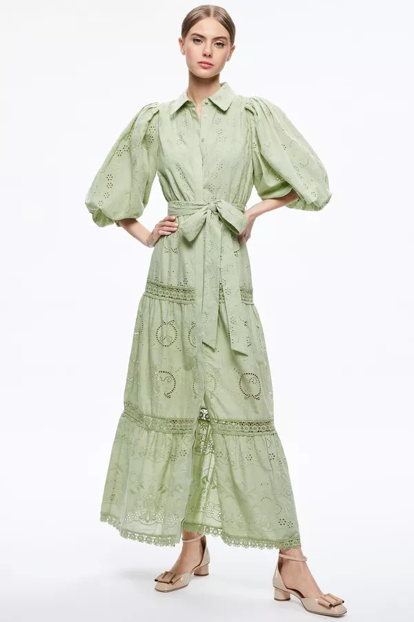 alice and olivia green silk dress alice + olivia Elea Maxi Dress, Size 0
