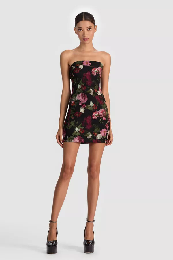 knee length dresses for ladies WILLOW MINI DRESS main image 0