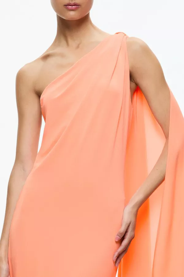 alice and olivia anja one shoulder dress Alice + Olivia Anja One Shoulder Draped Maxi Dress