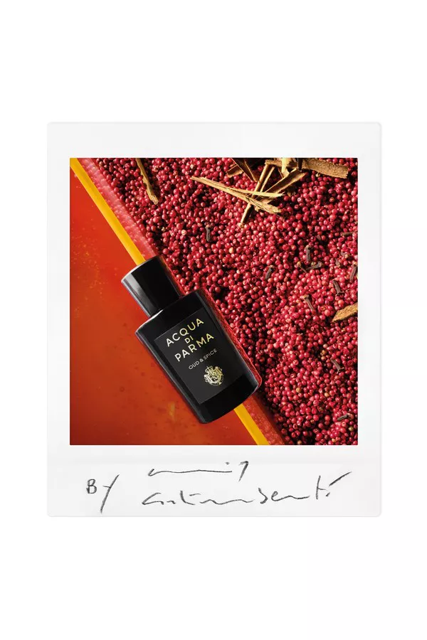acqua di parma oud and spice review