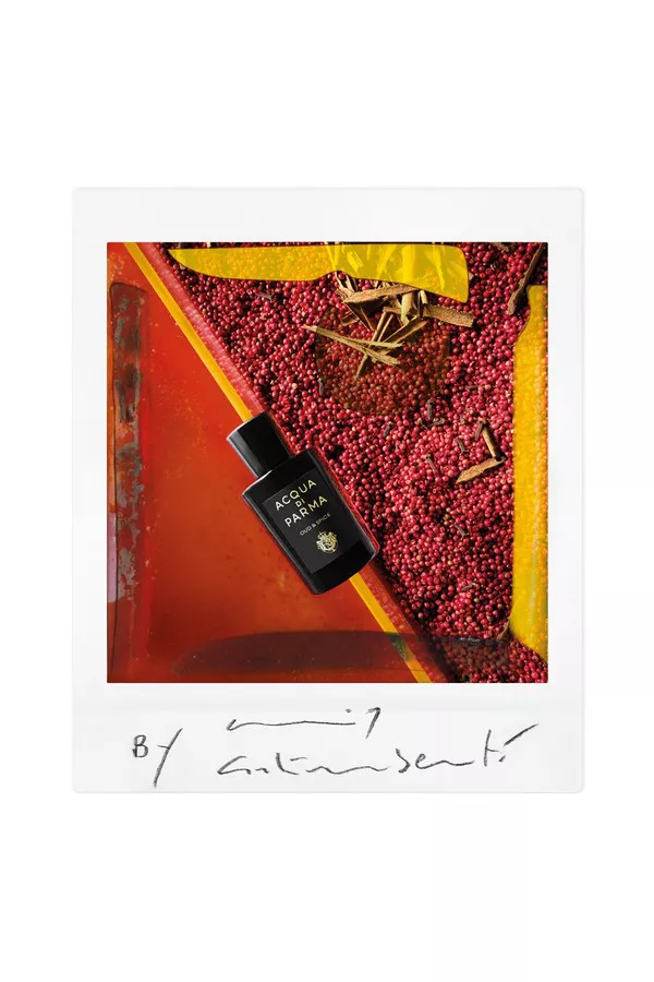 acqua di parma oud and spice review