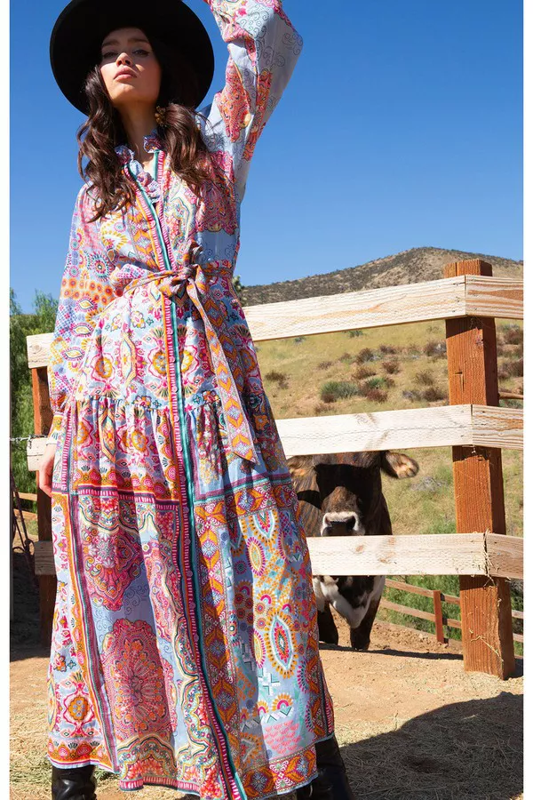 chinese dress ladies The Andi Chiffon Maxi Dress by Hale Bob – Jilli Boutique main image 0