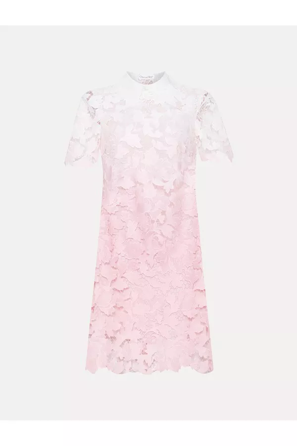 Ombr Peony Guipure Shift Dress by Oscar de la Renta at THE MILE