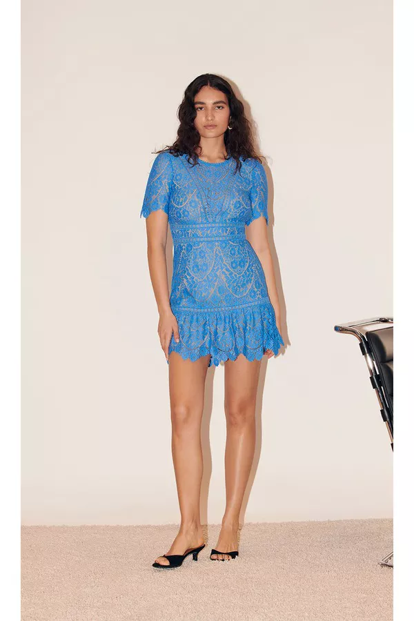 a line lace mini dress Black Floral Lace Long Sleeve Ruffle Hem Mini Dress main image 1